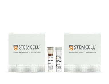 StemSep™ Human CD34 Positive Selection Cocktail