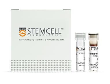 StemSep™ Rat Custom Enrichment Kit