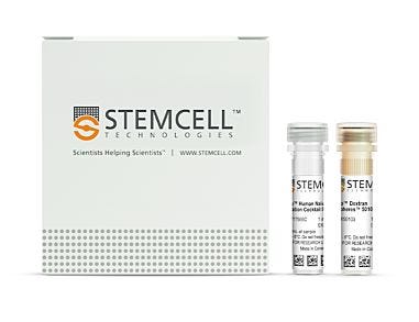 EasySep™ Human Naïve CD4+ T Cell Isolation Kit II|17555