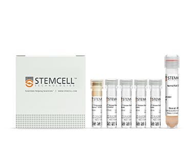 EasySep™ Release Mouse Biotin Positive Selection Kit