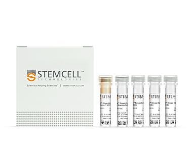 EasySep™ Release Human CD19 Positive Selection Kit