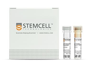 EasySep™ Human CD34 Positive Selection Kit II|17856