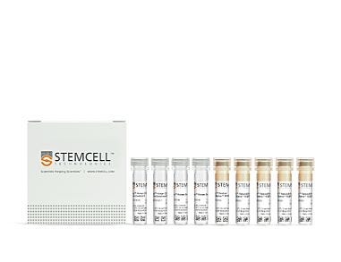 EasySep™ Human Th17 Cell Enrichment Kit II