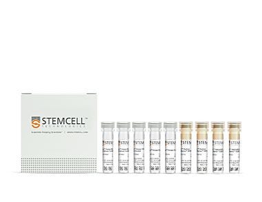 EasySep™ Human Memory B Cell Isolation Kit