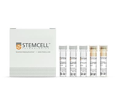 EasySep™ Human Central and Effector Memory CD8+ T Cell Isolation Kit