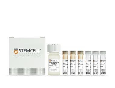EasySep™ Human Whole Blood CD34 Positive Selection Kit II|17879