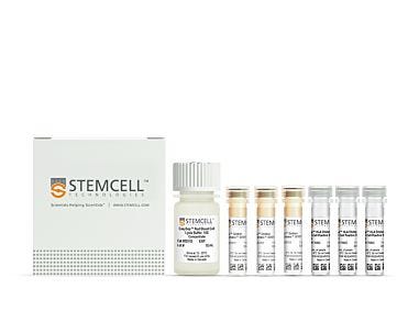 EasySep™ HLA Chimerism Whole Blood B Cell Positive Selection Kit|17886