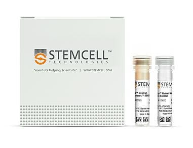 EasySep™ Human Neutrophil Isolation Kit|17957