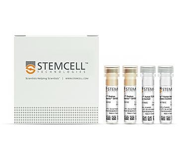 EasySep™ Human Naïve Pan T Cell Isolation Kit|17961