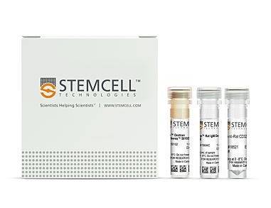 EasySep™ Rat IgM Depletion Kit|18644