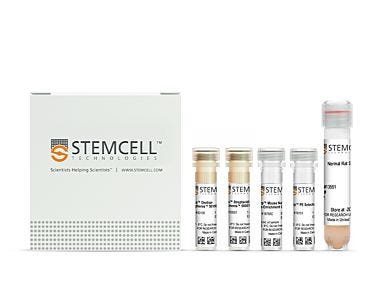 EasySep™ Mouse CD4+CD62L+ T Cell Isolation Kit|18765