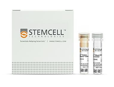 EasySep™ Human CD4+ T Cell Isolation Kit|18958