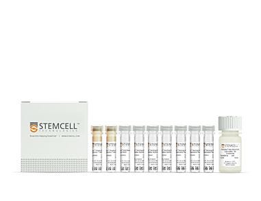 EasySep™ Serology Whole Blood CD19 Positive Selection Kit