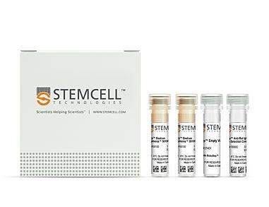 EasySep™ Anti-Rat IgG2a Positive Selection Kit|18990