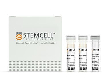 EasySep Human Naïve CD8+ T Cell Isolation Kit