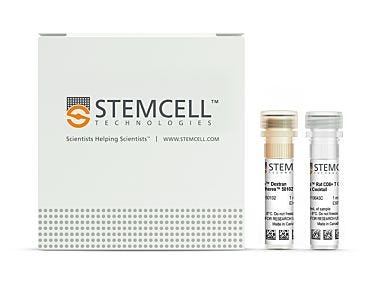 EasySep™ Rat CD8+ T Cell Isolation Kit|19643