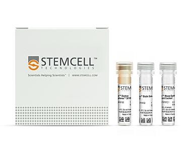 EasySep™ Mouse Epithelial Cell Enrichment Kit II
