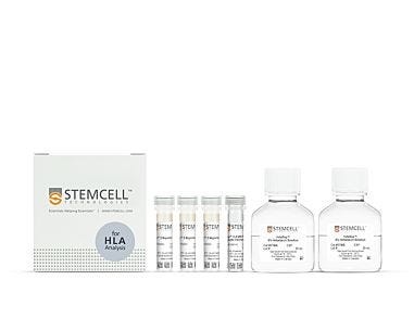EasySep™ HLA Total Lymphocyte Enrichment: Complete Processing Kit for Whole Blood|19961HLA