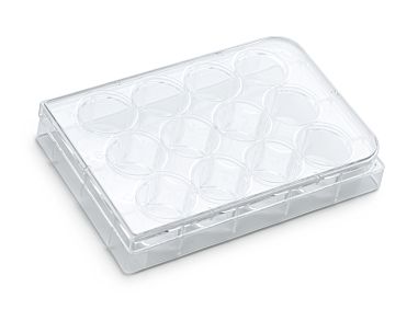 Costar® 12-Well Flat-Bottom Plate, Tissue Culture-Treated|200-0624