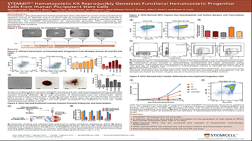 STEMdiff Hematopoietic Kit Reproducibly Generates Functional Hematopoietic Progenitor Cells