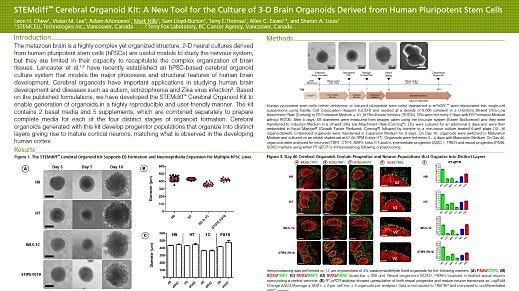 STEMdiff™ Cerebral Organoid Kit: A New Tool for the Culture of 3D Brain Organoids Derived from hPSCs