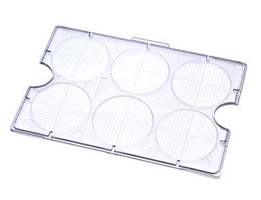 STEMgrid™-6