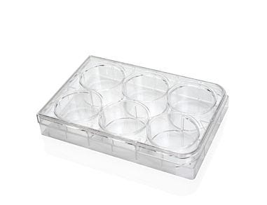  Costar® 6-Well Flat-Bottom Plate, Tissue Culture-Treated
