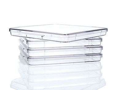 Corning® 245 mm Square Dish