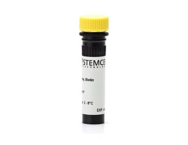 Anti-Mouse CD43 Antibody, Clone R2/60, Biotin