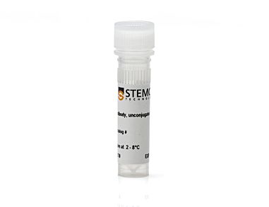 Anti-Mouse Ly-49A Antibody, Clone YE1/32.8.5