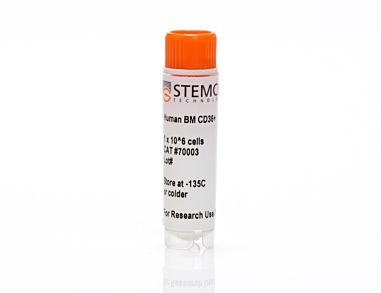 Human Bone Marrow CD36+ Cells, Frozen