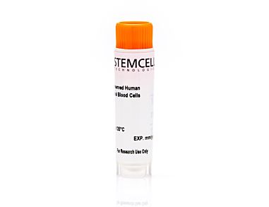 Human Peripheral Blood Mononuclear Cells, Frozen