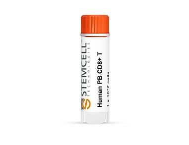 Human Peripheral Blood CD8+ T Cells, Frozen|70027