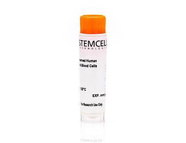 Human Peripheral Blood CD19+CD27- Naïve B Cells, Frozen