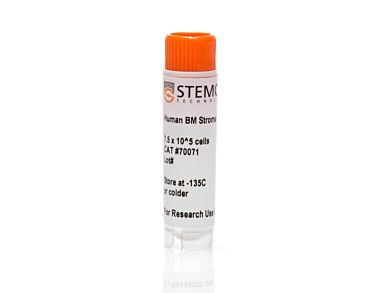 Human Bone Marrow Stromal Cells, Frozen