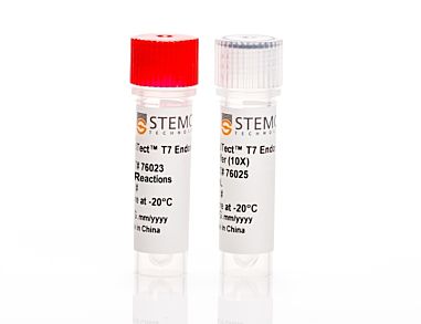 ArciTect™ T7 Endonuclease I Kit|76021