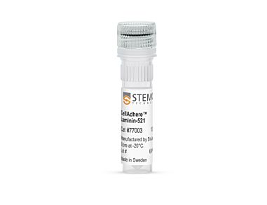 CellAdhere™ Laminin-521