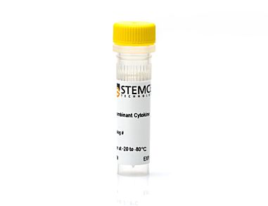 Human Recombinant GM-CSF(E. coli-expressed)