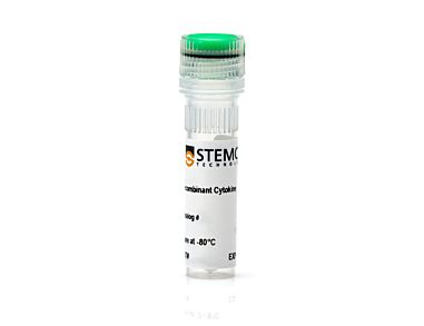 Human Recombinant IL-12