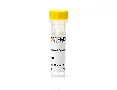 Human/Mouse Recombinant GDF-11