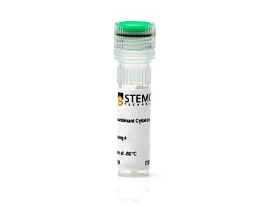 Human Recombinant PDGF-DD