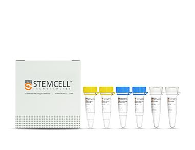  STEMscript™ cDNA Synthesis Kits|79003