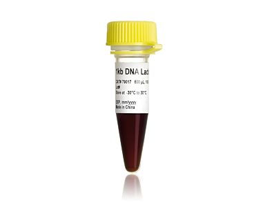 1 kb DNA Ladder