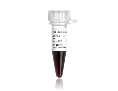 DNA Loading Dye