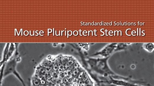 Standardized Solutions for Mouse Pluripotent Stem Cells