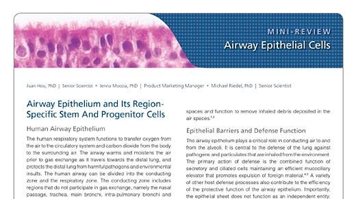 Airway Epithelial Cells