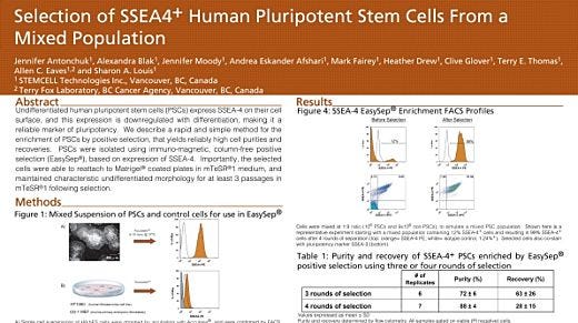 Selection of SSEA4+ Human Pluripotent Stem Cells from a Mixed Population