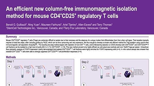 Immunomagnetic Isolation Method for Mouse CD4+CD25+ Regulatory T Cells