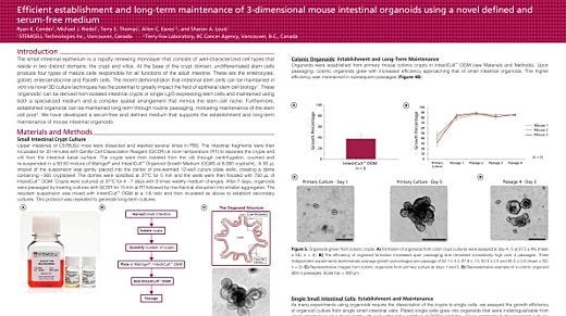 Efficient Establishment and Long-Term Maintenance of 3-Dimensional Mouse Intestinal Organoids Using a Novel Defined and Serum-Free Medium