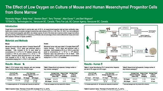 The Effect of Low Oxygen on Culture of Mouse and Human Mesenchymal Progenitor Cells from Bone Marrow